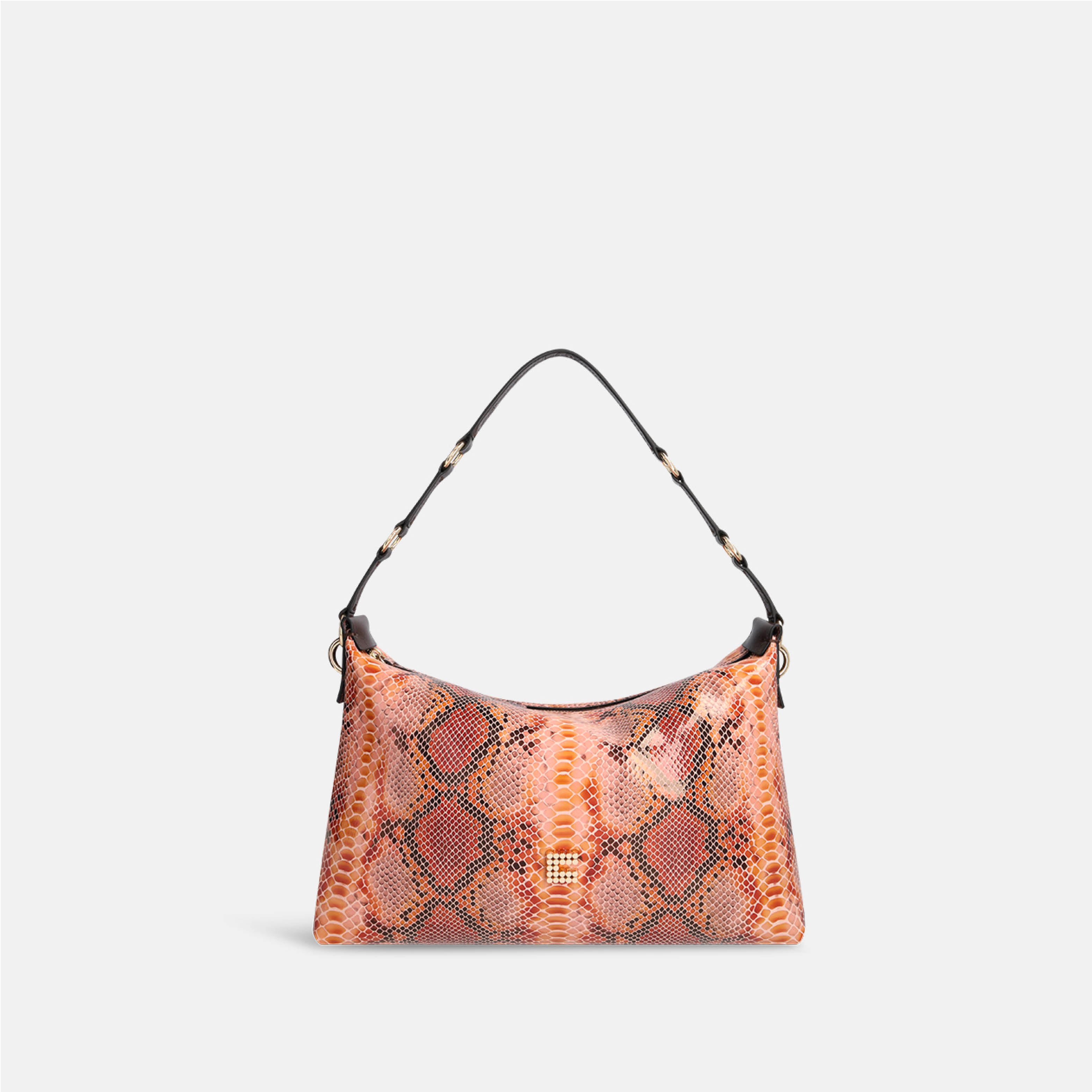CHARLY RAINBOW PYTHON