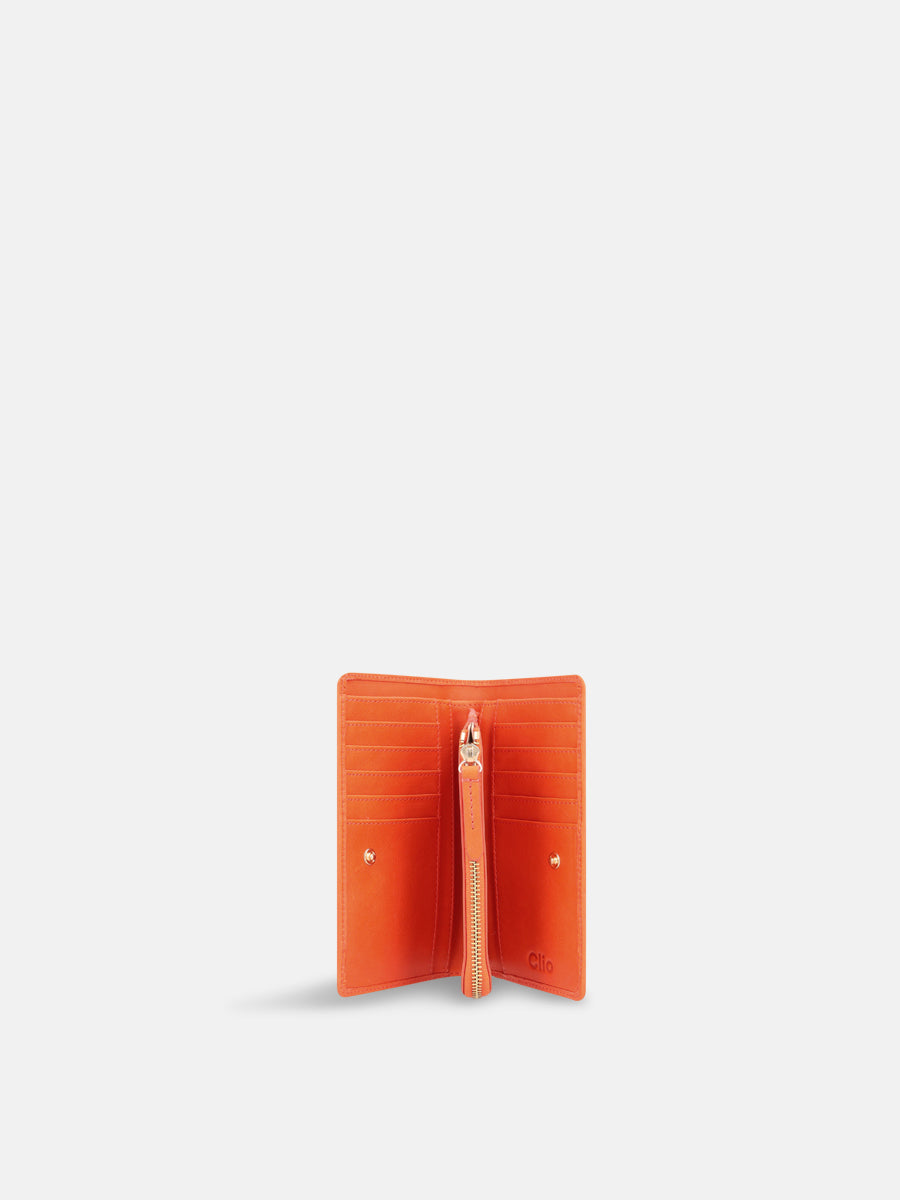 #color_ORANGE